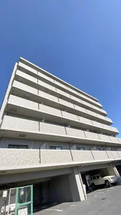 カルム今の画像