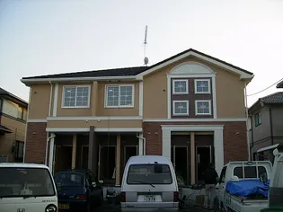 ビオレータの画像