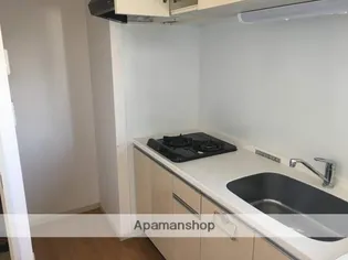 OWLSTYLE NISHIKIMACHI Ⅱ【10階】のキッチン