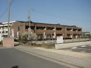 フェアリー芳明の画像