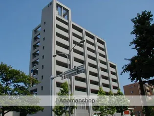 岡山県岡山市北区出石町1丁目【マンション】の外観