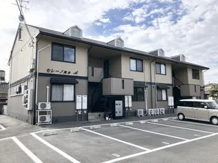 セレーノ岡本 A棟の画像