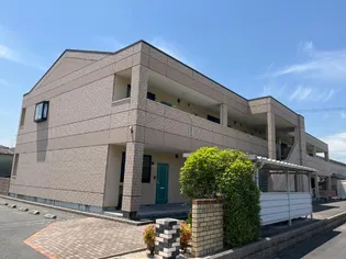 グラシアスの画像