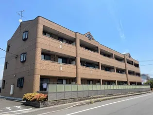 サンライズ亀甲の画像