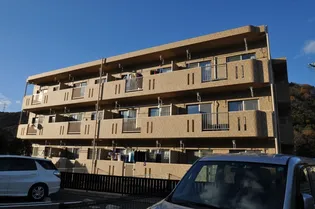 ピュアステージVの画像