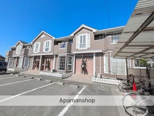 エクセランセトルの画像