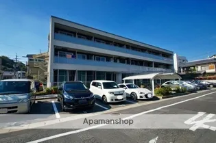 ディマーネの画像