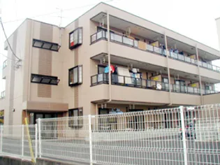 ソネヴァの画像