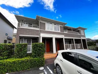 シェソワ Bの画像