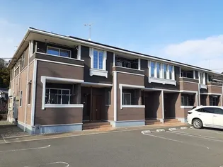 フェリーチェBの画像