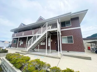 マーベラスNの画像