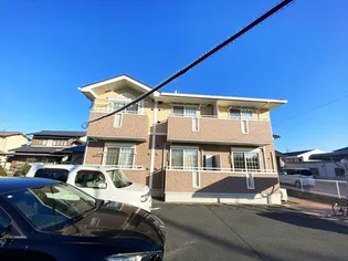 アイリスの画像