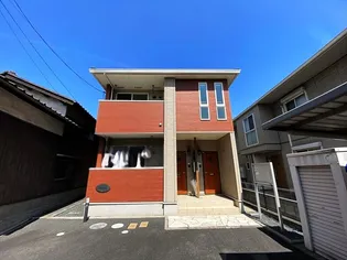 アムールの画像