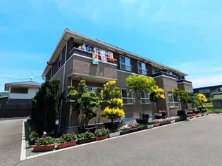 コンソラトゥールの画像