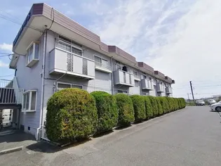 エルディムシャルマンAの画像