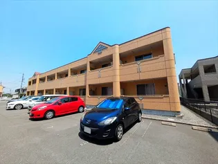 フリージアの画像