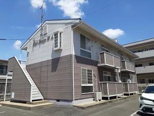 ハイブリッジ錦Aの画像