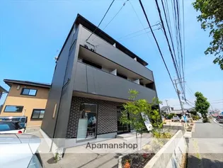 中島 STELLA BASEの画像