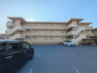 ドメスティックカーサの画像