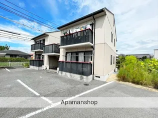 グレース ホリの画像