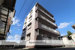 プリマヴェーラの画像