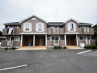 ニューマロンテールBの画像