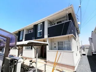 シーネックBの画像