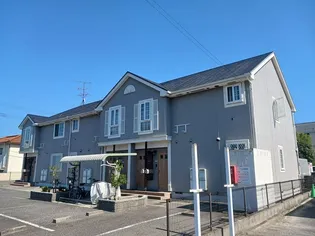 サンフラワーハセイの画像