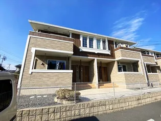 YSピュア21 Aの画像