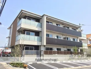 ソルコリーヌの画像