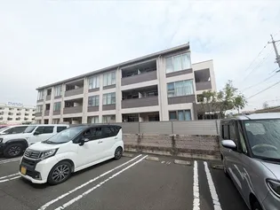 サンライズ亀甲Ⅱの画像