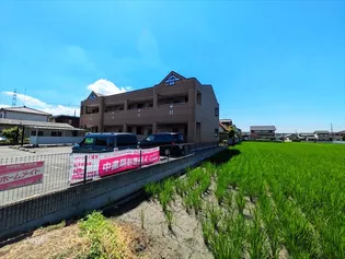 シーサイド いずみの画像