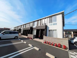 アネシスの画像