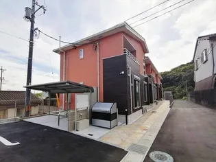 ココ アポロの画像