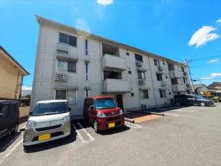 ピアチェーレの画像