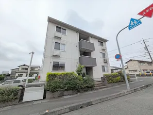 グローリー一文字の画像