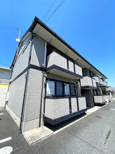 ミルトニアひよせの画像