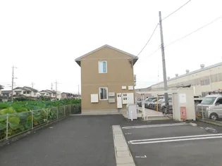 リーフの画像