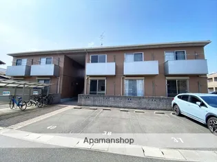 プレイン パイン Aの画像