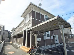 プリムラ ジュリアンの画像