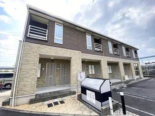 サンフラワーKの画像