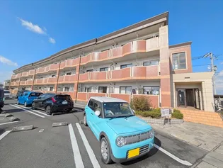 グラシオッソブローテの画像