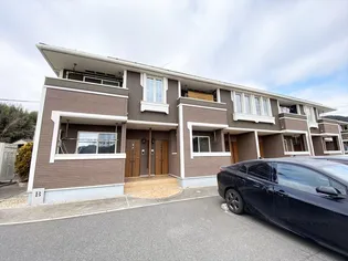 フェリーチェBの画像