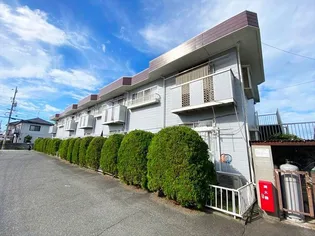 エルディムシャルマンAの画像