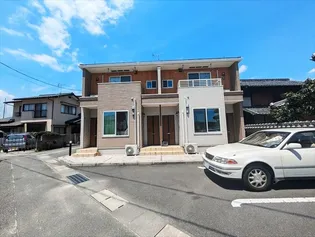 シェーン バッハ 上富井Bの画像