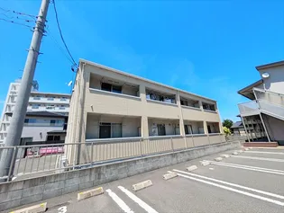 月桂樹の画像