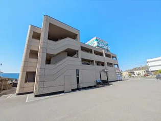 ヴィーブライトの画像