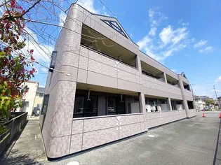 パピヨンの画像