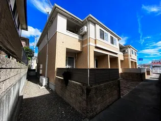 スイレンカの画像