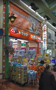 TWIN TOWERS SELINA【7階】の周辺